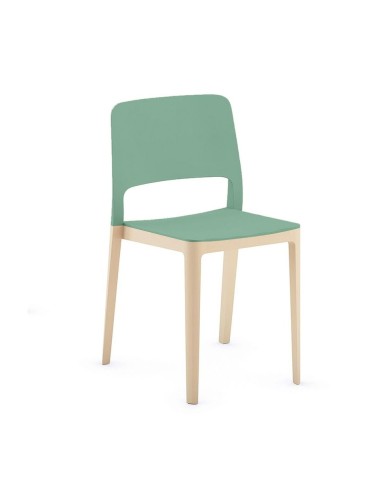 Chaise design Settesusette avec pieds en bois de hêtre et plastique vert