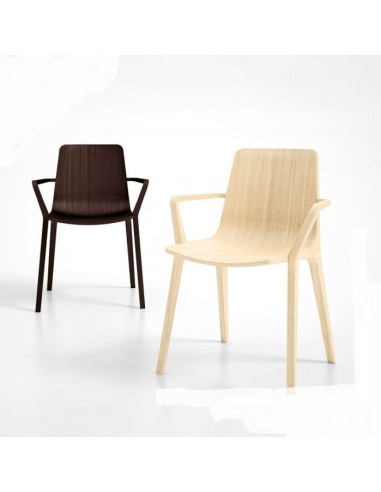 Modèle Seame chaises avcec accoudoirs - bois de chêne massif 