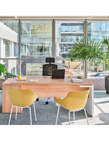 Bureau de direction dans pièce lumineuse