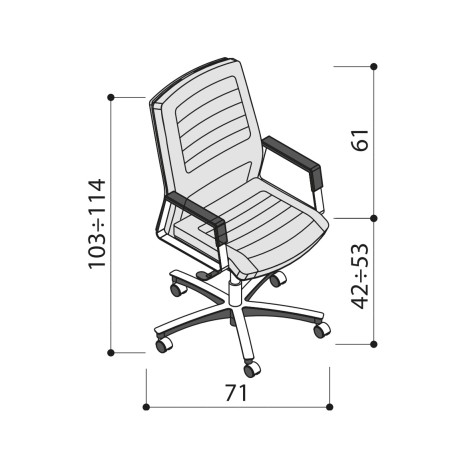 Chaise en cuir avec des surpiqures et avec des accoudoirs design - Neochair - Las Mobili 2