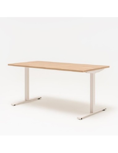 Bureau Ogi T