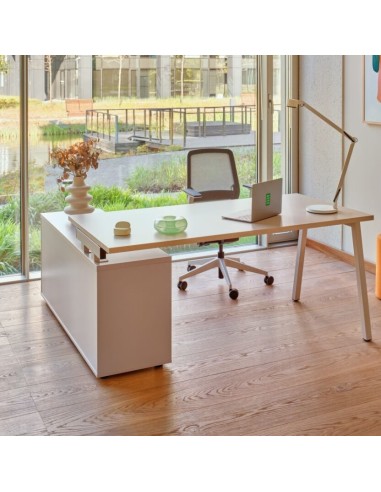 Ogi M - avec desserte