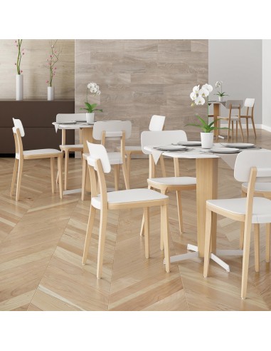 Chaise Porta Venezia avec pieds bois – design moderne pour salle de pause
