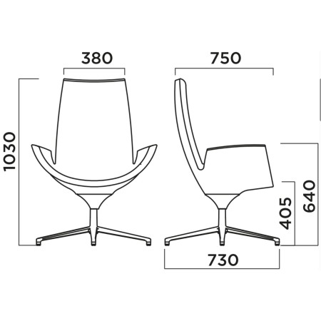 Dimensions du fauteuil Beetle high back