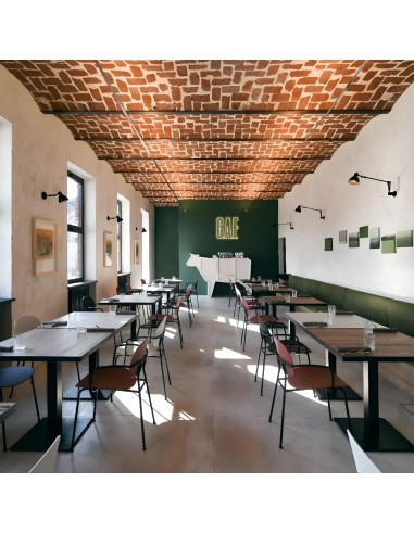 Chaise Tondina Pop avec accoudoirs – coque en plastique et piètement acier pour restauration, réunion