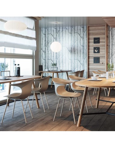 	Salle à manger, restauration avec chaises Loop Mono design en plastique et acier - moderne