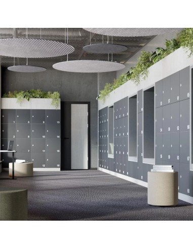 Vestiaires d'entreprise et bureaux gris sécurisés numérotés CHOICE