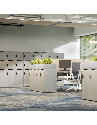 Bureau d'entreprise avec casiers sécurisés avec serrures diverses