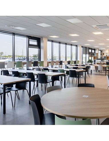 Chaises Polytone-L en salle de pause d'entreprise, cafétaria