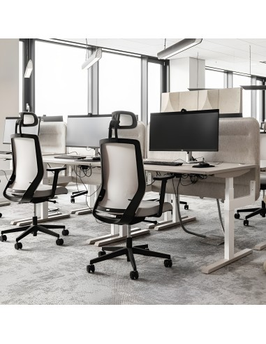 Bureau d'entreprise avec des chaises Milla Plus à roulettes professionnelles