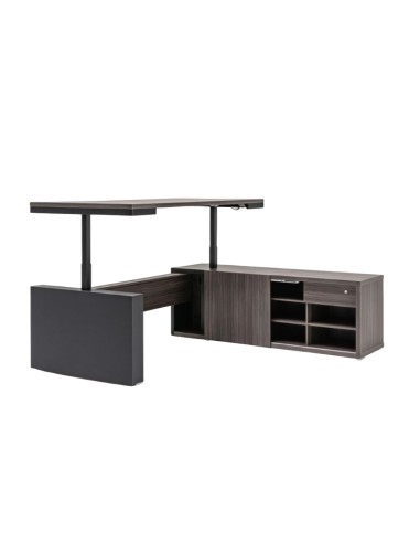 Bureau de direction assis-debout design dans pièce lumineuse