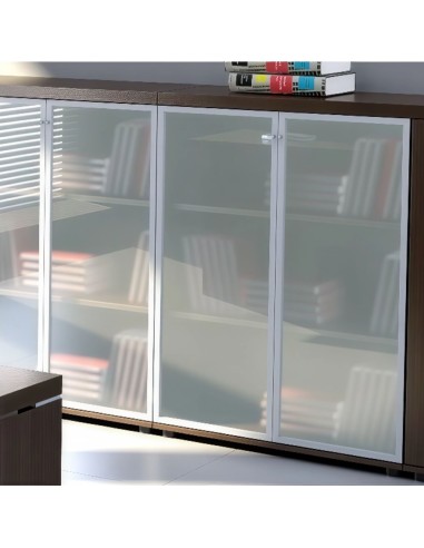 Vitrine à portes battantes en verre avec livres rangés à l'intérieur