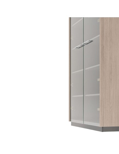 Armoire design avec portes vitrées