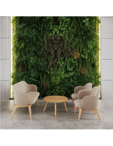 Coin détente avec mur végétal et banc Flos clair en bois