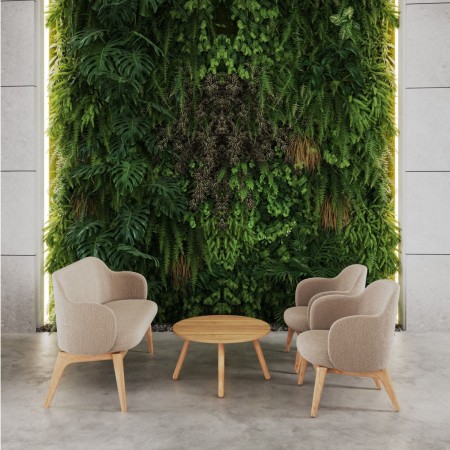 Coin détente avec mur végétal et banc Flos clair en bois