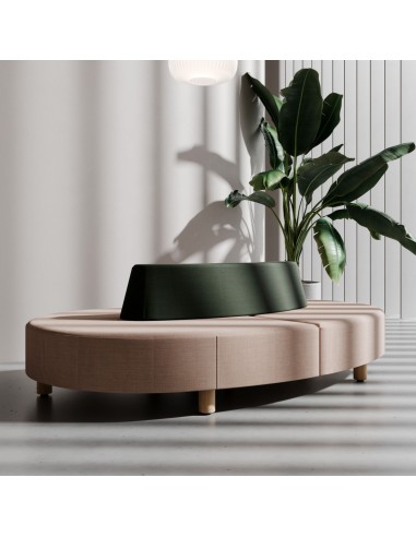 Canapé Nubi marron clair avec plante décorative - Nubi