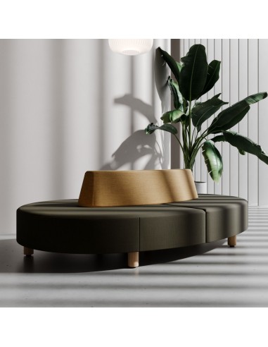 Canapé Nubi marron foncé en velours avec accoudoirs fins - Nubi