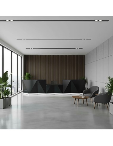 Banque d'accueil dans espace lumineux et espace d'attente