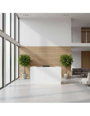 Meuble de réception blanc dans décor lumineux avec arbustre