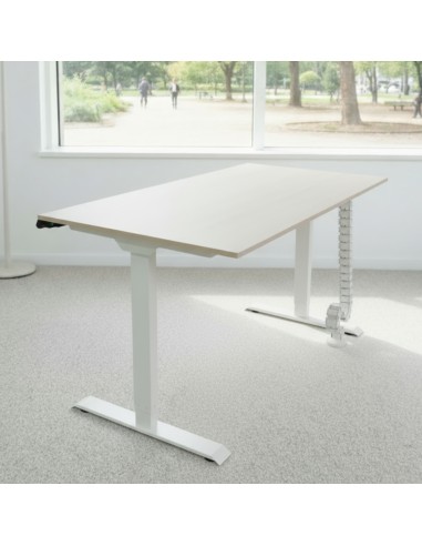 Bureau assis-debout électrique Start-Up avec plateau bois clair et piètement blanc, idéal pour un espace de travail ergonomique