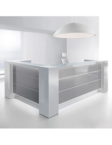 Banque d'accueil façades grises dans espace clair