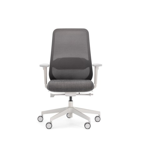 Chaise de bureau ergonomique grise avec soutien lombaire réglable - Belt