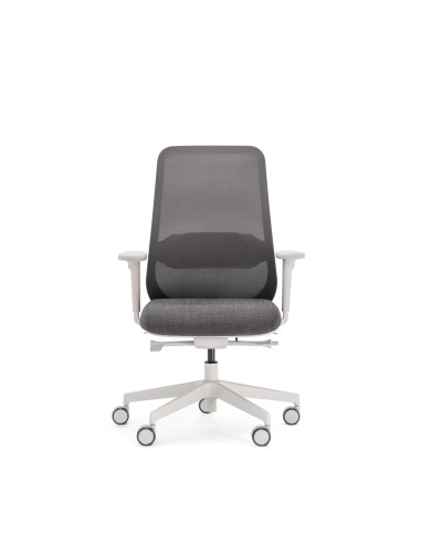 Chaise de bureau ergonomique grise avec soutien lombaire réglable - Belt