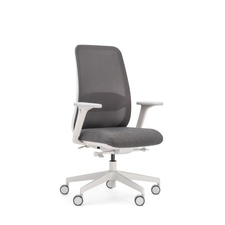 Chaise de bureau ergonomique grise avec soutien lombaire réglable - Belt