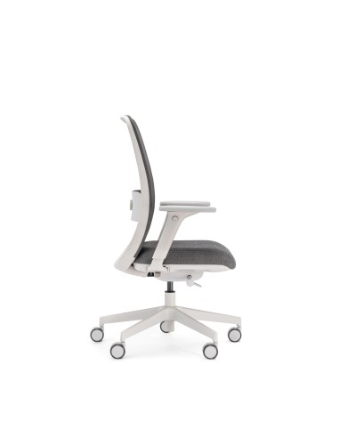 Chaise de bureau ergonomique grise avec soutien lombaire réglable - Belt