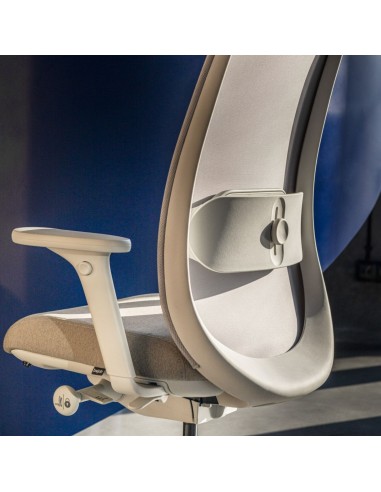 Vue rapprochée du dossier en maille et du support lombaire ajustable Belt BE 102