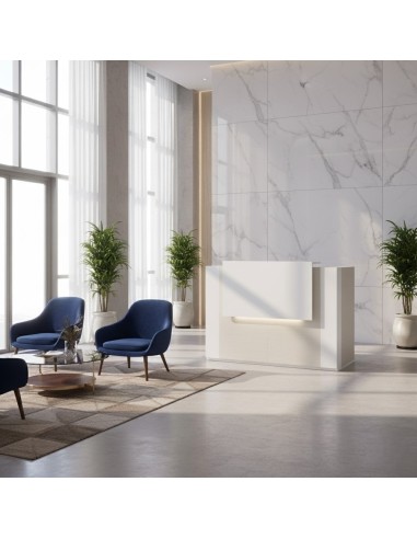 Réception avec banque d'accueil et led intégrée