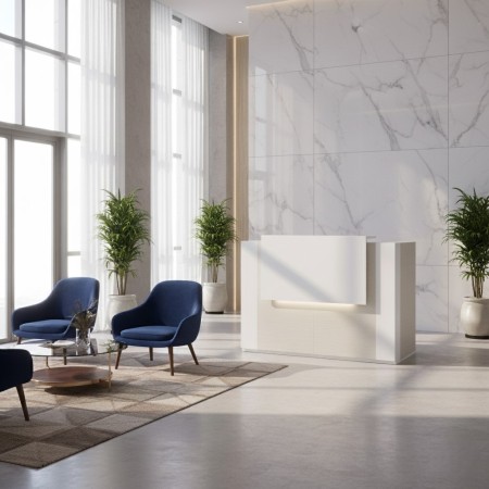 Réception avec banque d'accueil et led intégrée