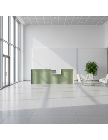 Grande pièce d'accueil avec meuble de réception vert et accès PMR