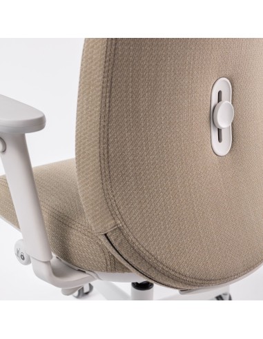 Chaise Belt BE 1T pour un bureau design au mobilier clair et minimaliste soutien du dos