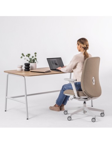 Chaise de bureau ergonomique grise en tissu - Belt