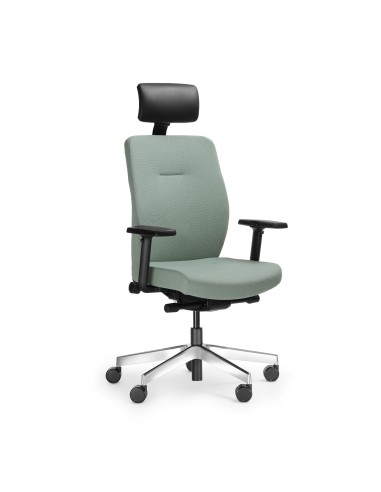 Fauteuil de bureau ergonomique élégant noir – Dual