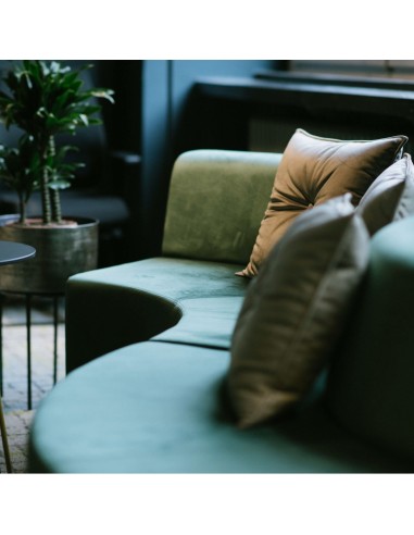 Gros plan d’une assise verte avec coussins dorés. - Quadra