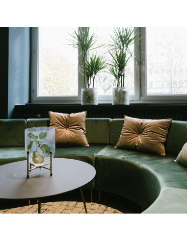 Salon contemporain avec banquettes vertes modulaires et plantes. - Quadra