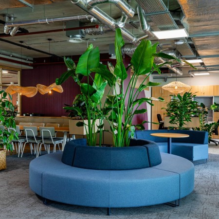 Banquette incurvée verte avec base noire et dossier droit. - Quadra 2