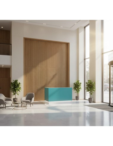 Meuble d'accueil blanc dans petit espace de réception lumineux