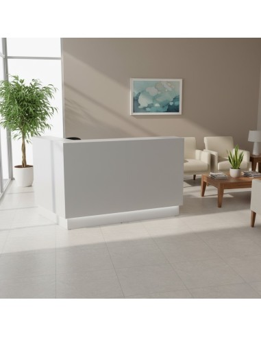 Meuble d'accueil blanc dans petit espace de réception lumineux