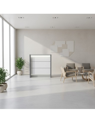 Petit meuble de réception dans espace d'accueil lumineux avec fauteuils et table basse