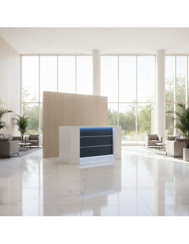 Espace d'accueil lumineux avec meuble de réception bleu, fauteuils et table basse