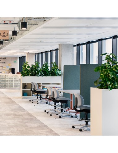 Aménagement open space avec plusieurs tabourets Lift LF 10R autour de bureaux réglables en hauteur