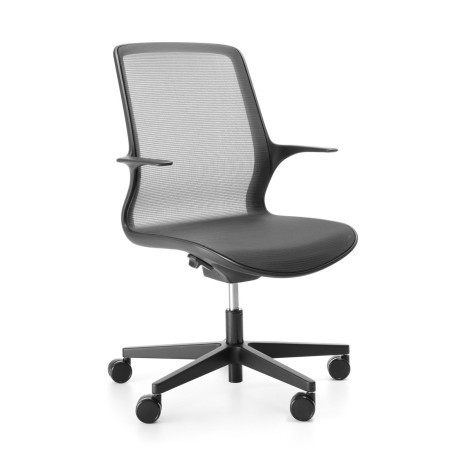 Structure avec accoudoirs intégrés du fauteuil Ovidio OV 1M2