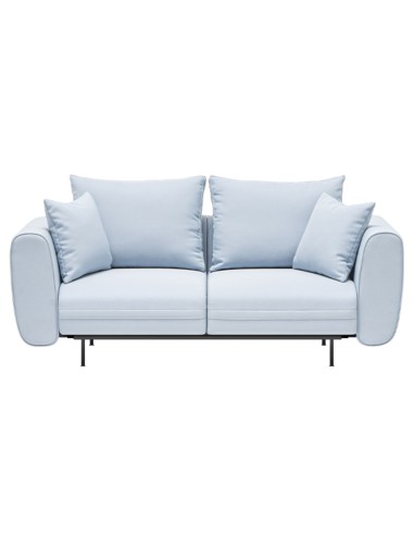 canapé professionnel 2 places bleu clair avec accoudoirs larges – Lotus