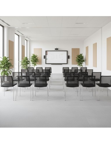 Fendo FD 215 M utilisée dans un auditorium d’entreprise