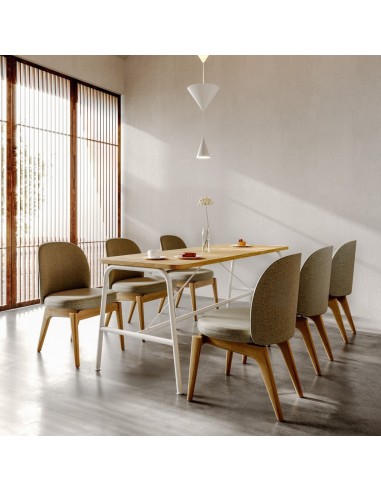 Chaise Flos Wood idéale pour salle de réunion haut de gamme