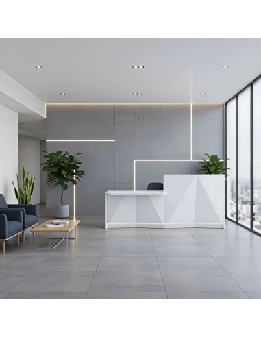 Banque d'accueil blanche dans salle d'attente