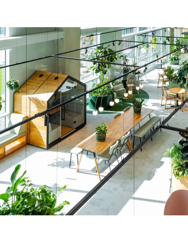 Cabine Treehouse deux places, finition mêlant bois naturel et cadre noir. - Treehouse